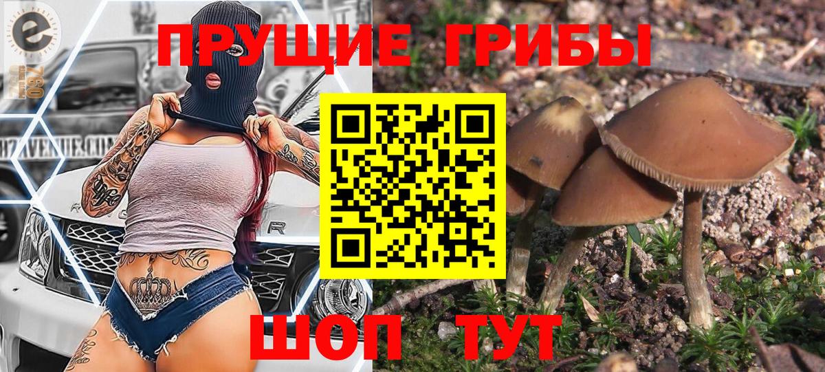 Псилоцибиновые грибы мухоморы Егорьевск
