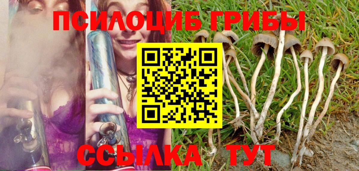 наркошоп  Псилоцибиновые грибы Cubensis  Вход с VPN  Псилоцибиновые грибы прущие грибы  Егорьевск 